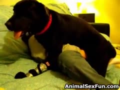 This beast sex film shows a lonely old slut on Christmas eve getting cunt fucked by her dog.